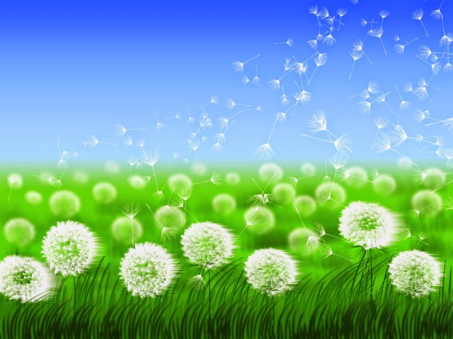 writing baton - dandelions - inspiration @wordsofjoy.me