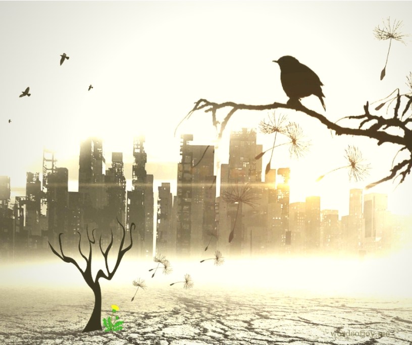 apocalypse - the advent of Christ's second coming to earth @wordsofjoy.me