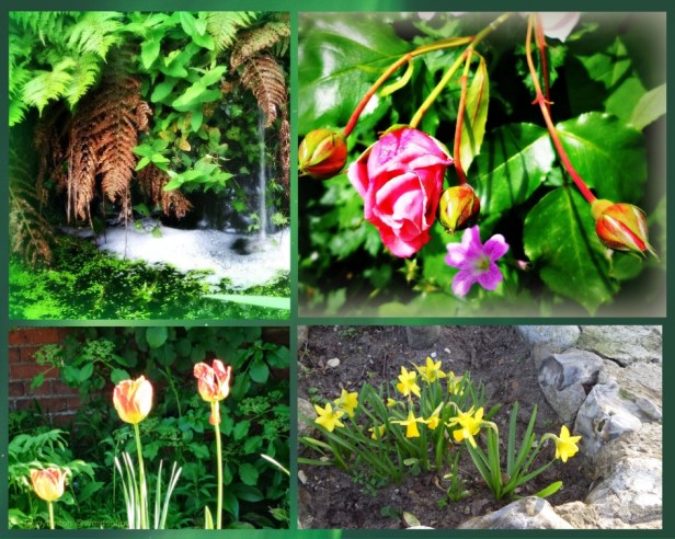 collage of photos (C)joylenton @wordsofjoy.me