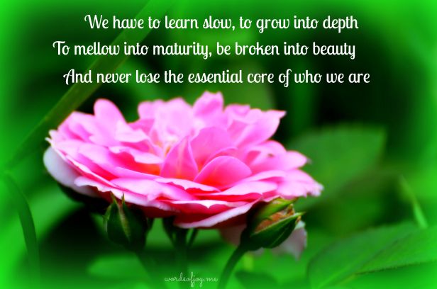 broken into beauty WoJ pin