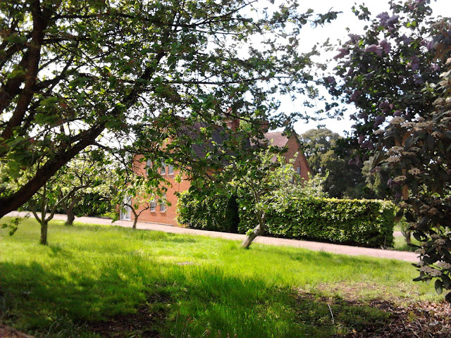 retreat - trees - shelter @wordsofjoy.me