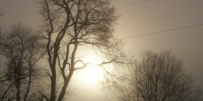 season of advent - November mist - trees