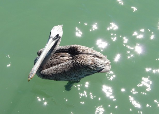 being quiet in solitude