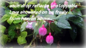 rain-on-flowers-listen-woj