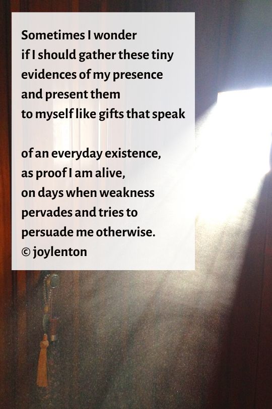 dust motes - evidences poem (C) joylenton @joylenton.com