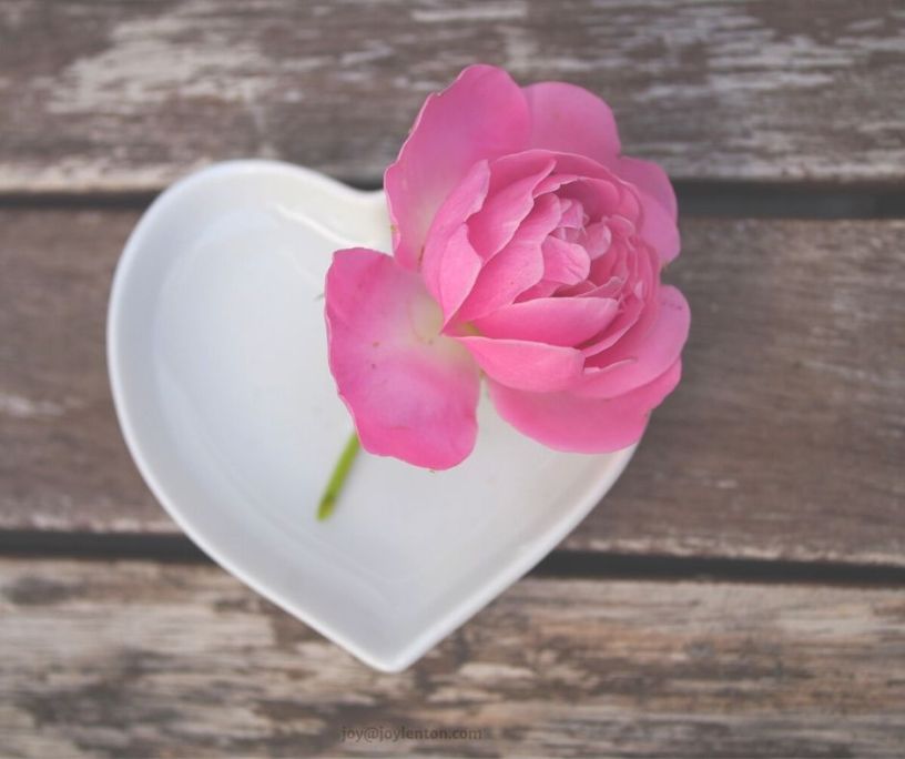 simplicity - getting back to basics @joylenton.com - rose - heart