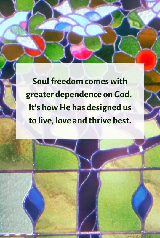 slow - tree- doves - stained glass window - Soul freedom comes with greater dependence on God quote (C) joylenton @joylenton.com