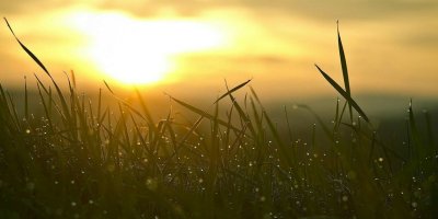 slow - sunset - grass - a mindful way to experience greater rest and joy @joylenton.com