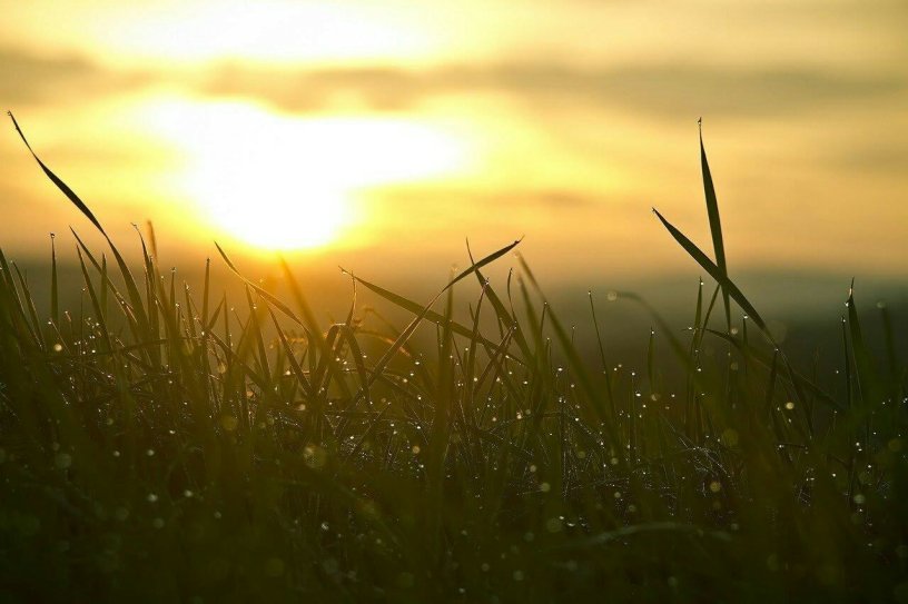 slow - sunset - grass - a mindful way to experience greater rest and joy @joylenton.com