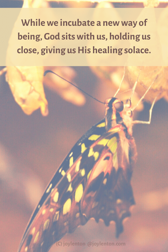 holding - butterfly emerging from its chrysallis -incubate a new way of being quote (C) joylenton @joylenton.com