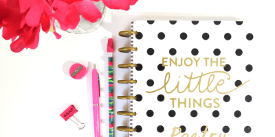 poem - journal - pen - flower - indulging in lyrical storytelling @joylenton.com