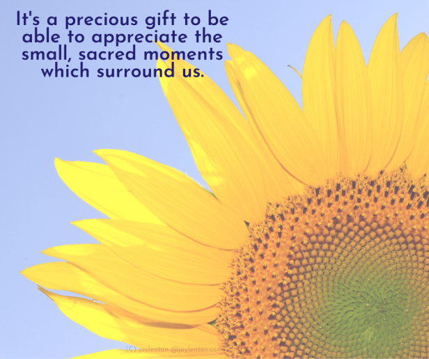 precious - sunflower - blue sky -It's a precious gift quote (C) joylenton @joylenton.com