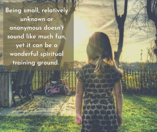 dreams - Being small, relatively unknown or anonymous doesn't sound like much fun, yet it can be a wonderful spiritual training ground quote (C) joylenton @joylenton.com