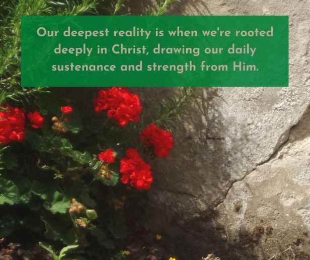authentic - Our deepest reality is when we're rooted deeply in Christ quote (C) joylenton @joylenton.com