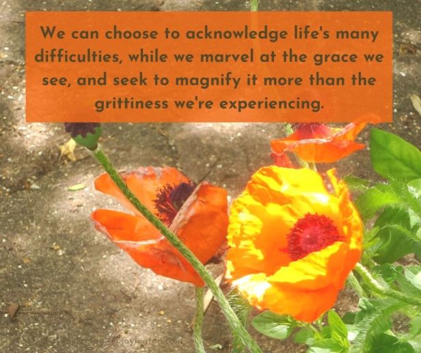 authentic - We can choose to acknowledge life's many difficulties quote (C) joylenton @joylenton.com