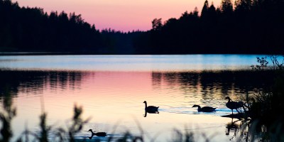 slow - sunset over a lake - the holy gift of slow @joylenton.com - image by Arek Socha @pixabay.com